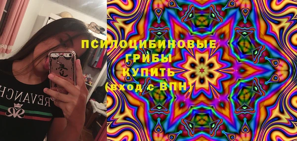 гашик Лиски