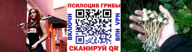 Галлюциногенные грибы мухоморы  Купить где  Алушта 